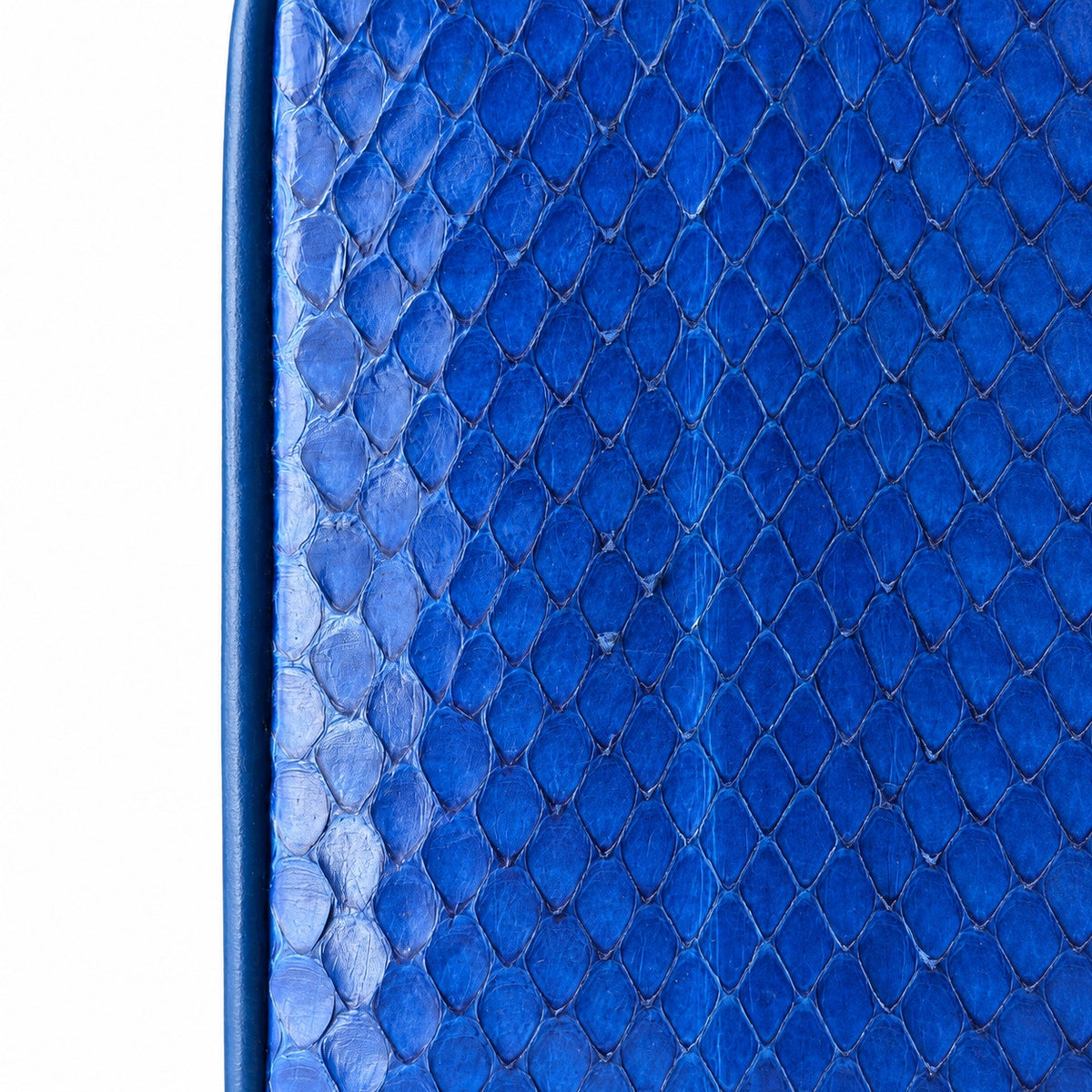 Vintage Genuine Snakeskin Frame Bag Blue Gold Crossbody Shoulder Purse