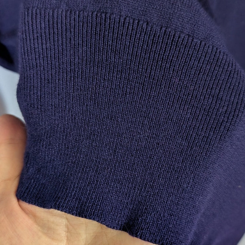 Banana Republic 100% Extra Fine Merino Wool V-Neck Sweater, Purple, Size S