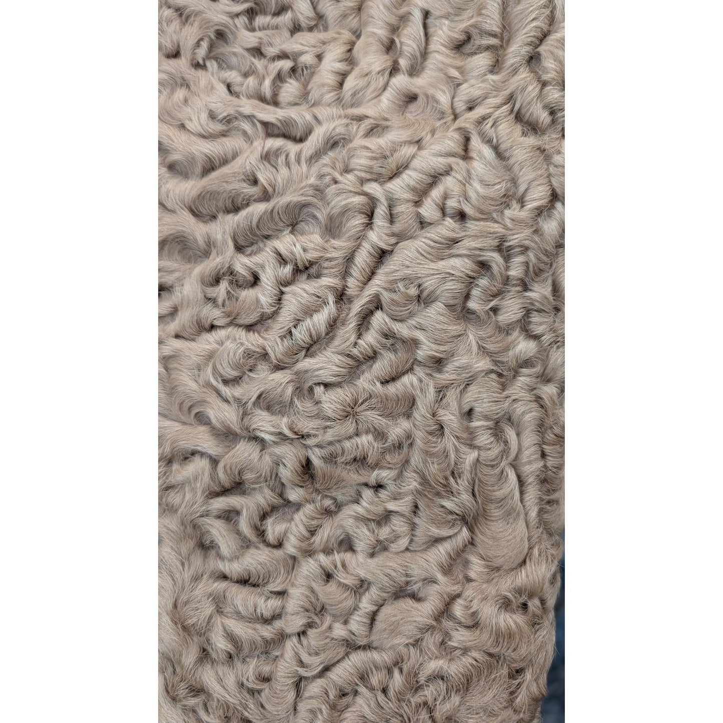 Rare Vintage Persian Lamb Fur Coat Beige Mid-Length Petite Fit