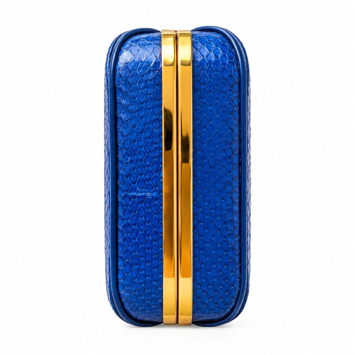 Vintage Genuine Snakeskin Frame Bag Blue Gold Crossbody Shoulder Purse